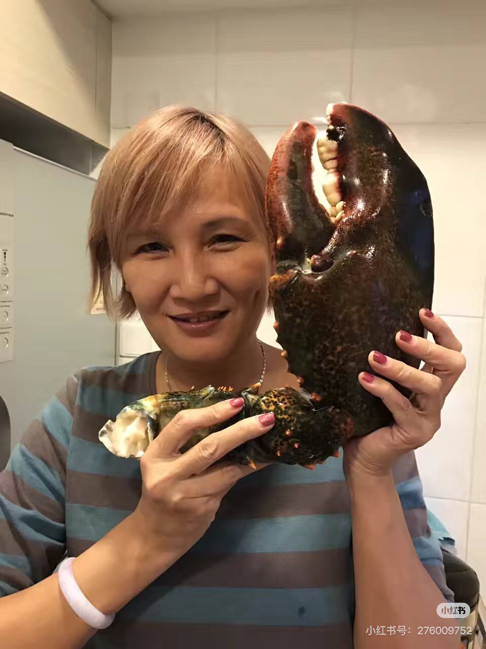 Giant kg-Grade Lobster Claw
